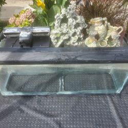 55 Gallon Fish Tank