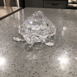 Glass Turtle