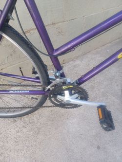 Schwinn Size 700 speed 21 frame20