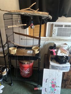 Birdcage