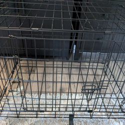 Dog Wire Crate