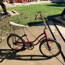 Twin fair Lady stingray