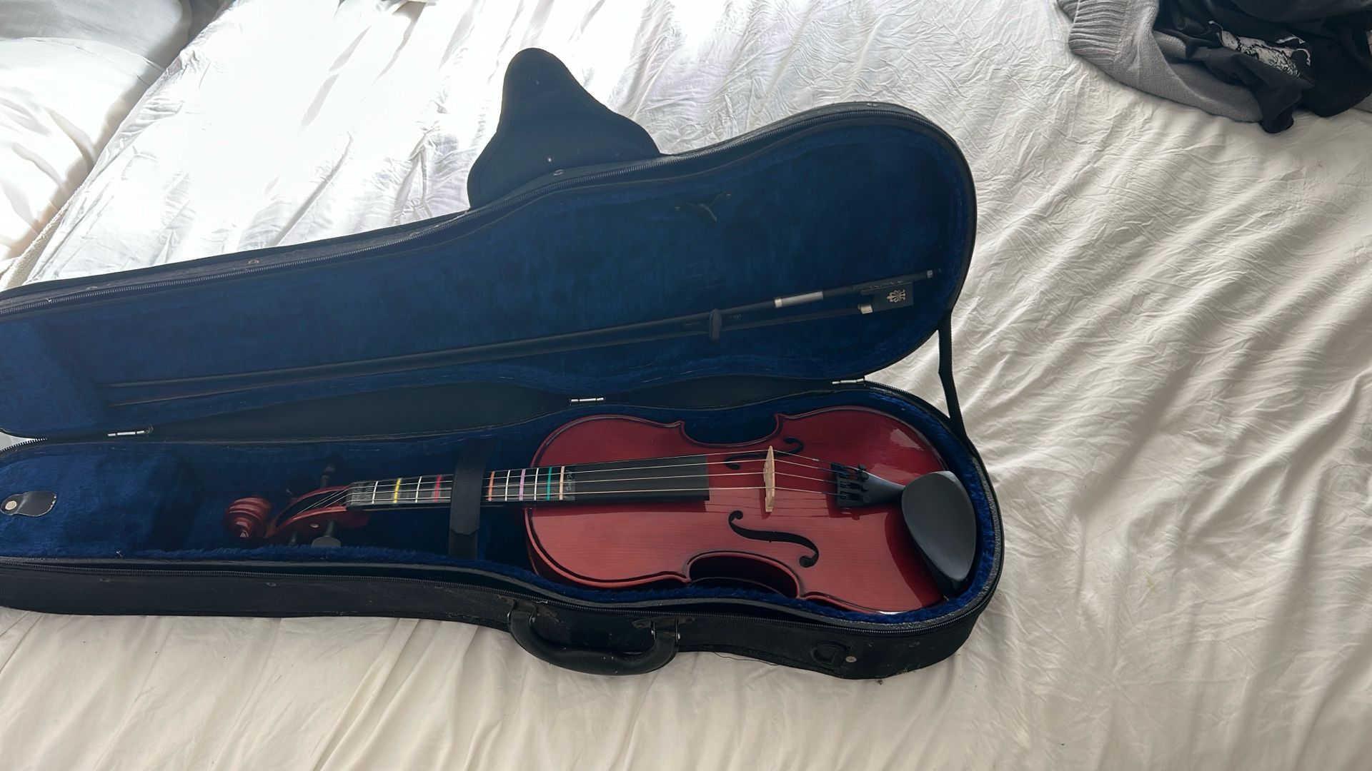 Adult Violin With Now