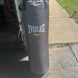 75lb Everlast Punching Bag 