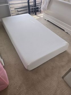 Bunk Bed and Mattress