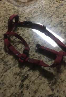 I dog collar