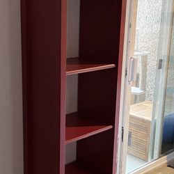 Tall narrow book/ display case 