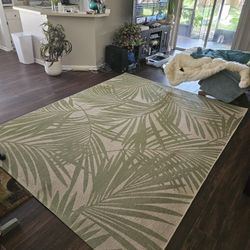 Beautiful Indoor/Outdoor Carpet 