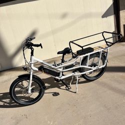 RadWagon 4 Electric Bike 
