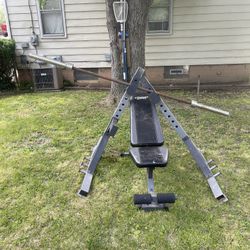 Weight Bench 