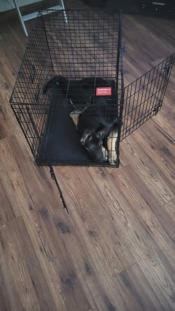 Metal Dog Crate/kennel