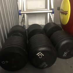 1 $ Bls Single Dumbbells 💪 