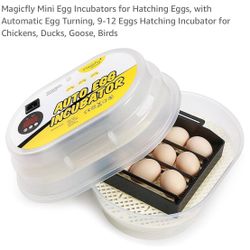 Egg Incubator