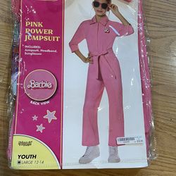 Barbie Costume
