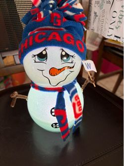 Chicago Cubs Light