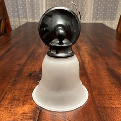 Indoor/Outdoor Sconce