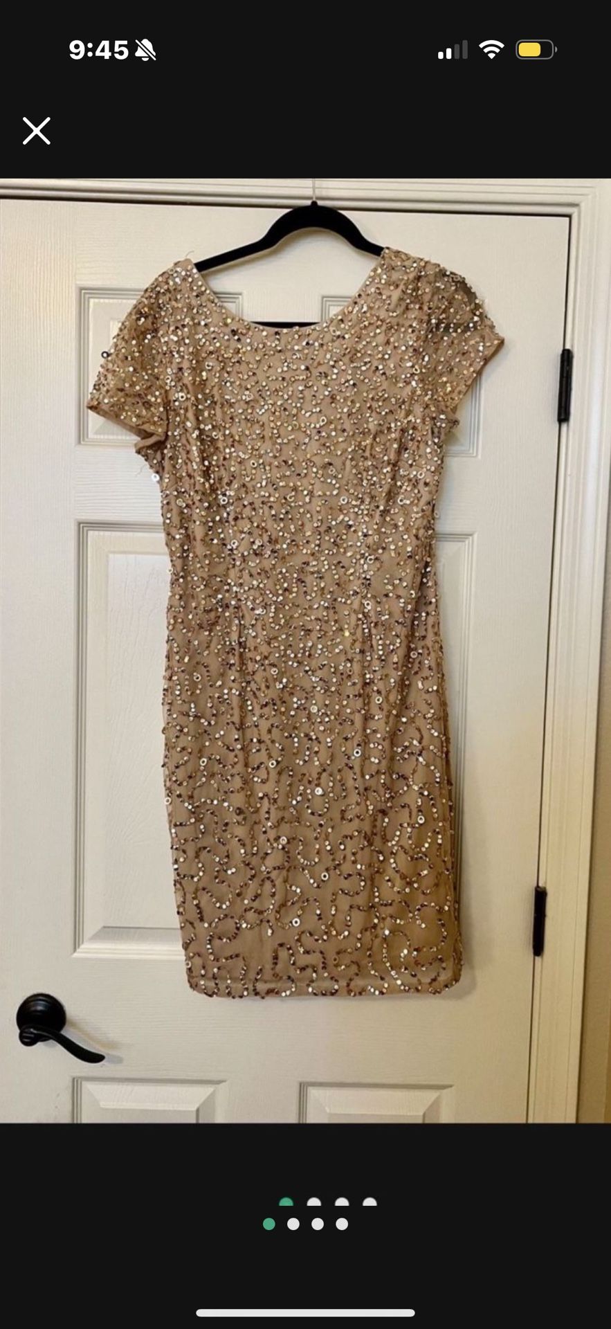 Adrianna Papel Sequin Dress