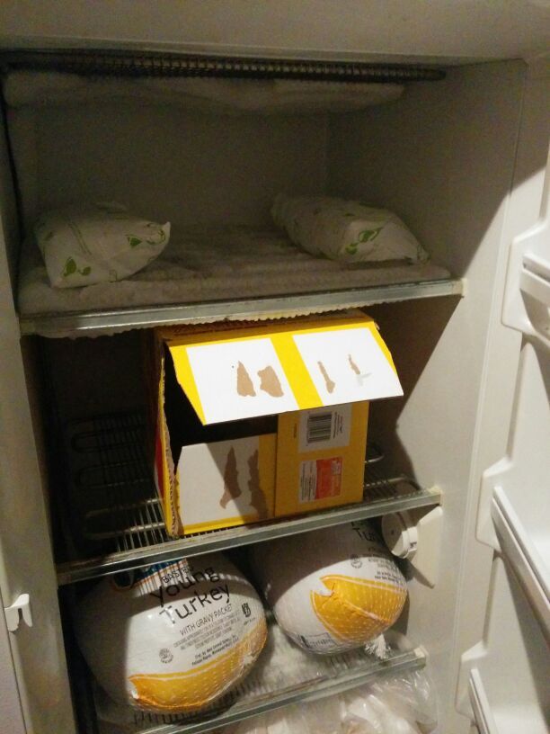 Standup freezer