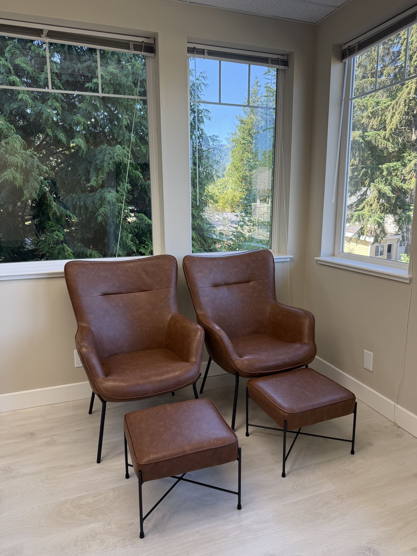Modern Leather Accent Chairs with Ottomans  