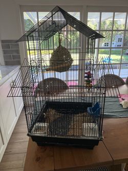 Bird Cage with everything included! Just add the bird!