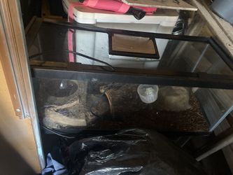 Reptile Tanks