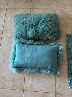 2 teal decorative pillow