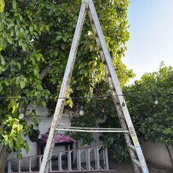 14 Ft. Extra Heavy Duty Ladder
