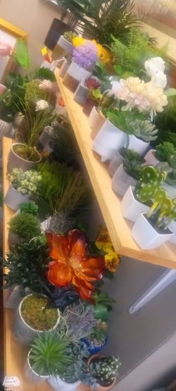 New artificial silk plants 2 to ten each looks real high quality