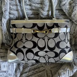 Large Hand Bag