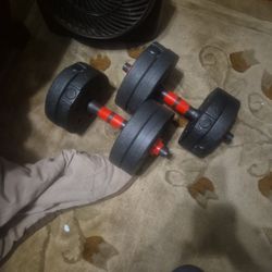 Dumbell Weights