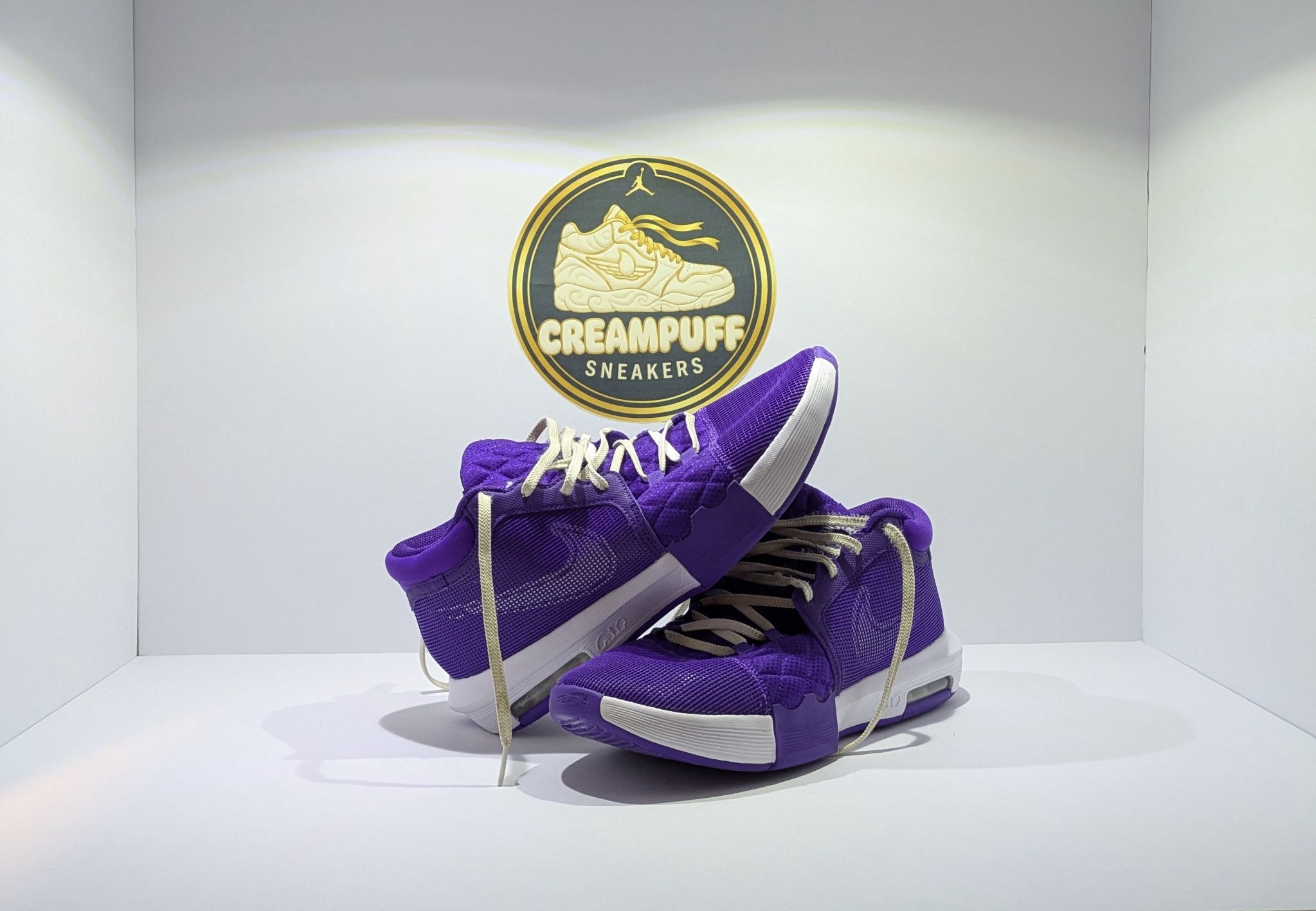 Nike LeBron Witness' 8 Tb Field Purple