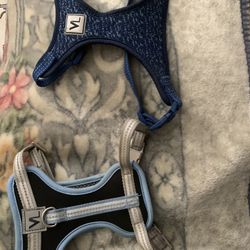 Vibrant Life Dog Harness