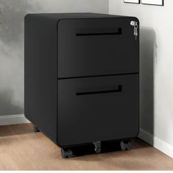 2-Drawer Filing Cabinet