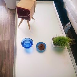 Free 52" Coffee Table 