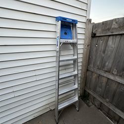 Werner 6 Ft Ladder 