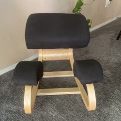 Egomaniac Desk Chair