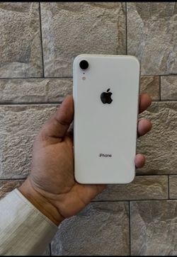 iPhone XR
