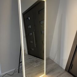 Hasipu Full Length Mirror with Lights, 65"× 22" LED Floor Mirror, Full Body Dressing Standing, Hanging Mounted Mirror for Living Room Bedroom Cloakroo