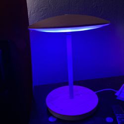 UltraBrite LED desk Lamp