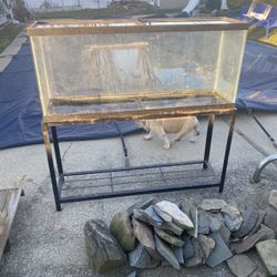 55 Gallon Tank And Stand 