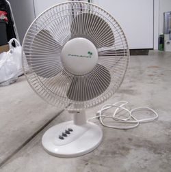Palmaire Unused Electric Fan 