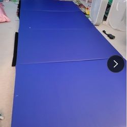 Gymnastics/Calisthenics Pad [10ft x 4ft x 2in] Folding Gym Mat – 4-Panels (Royal Blue)