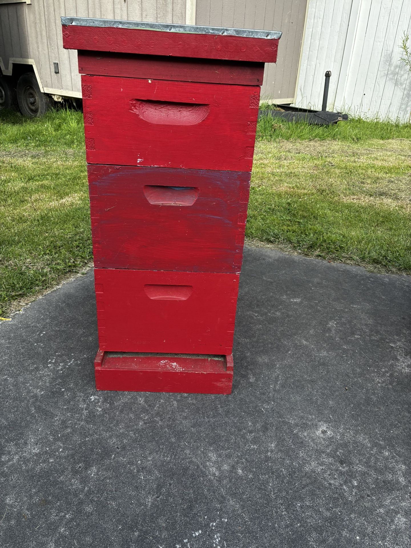 Bee Hive