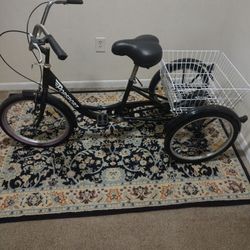 3 Wheel Bike ,$200 Or B.O