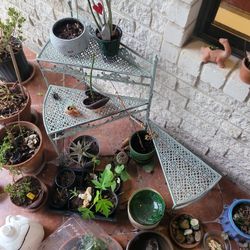 Folding Metal Plant Stand 