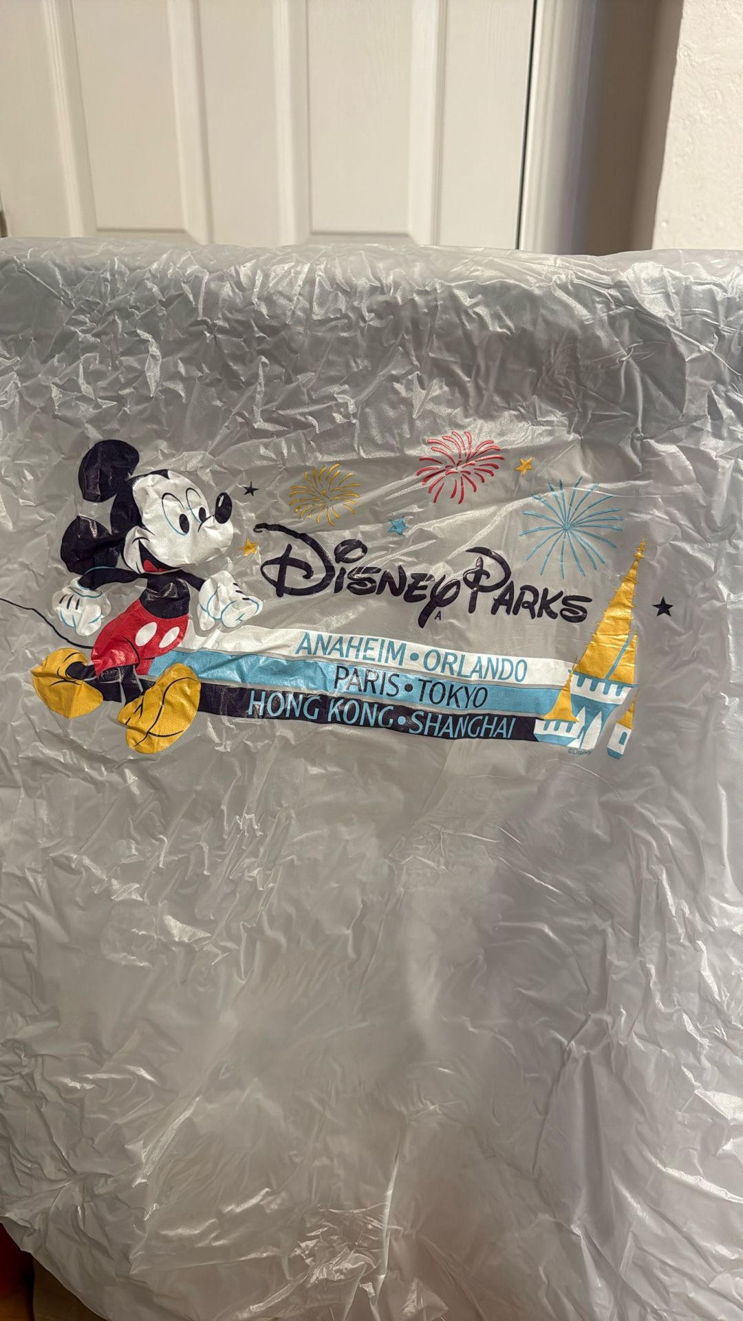 FREE - Disneyland Poncho 