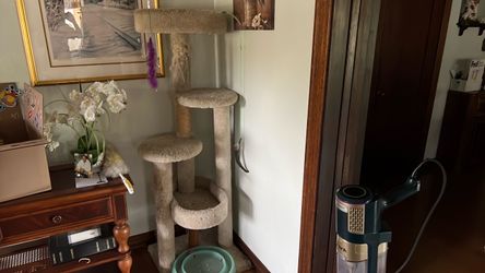 Cat Tree