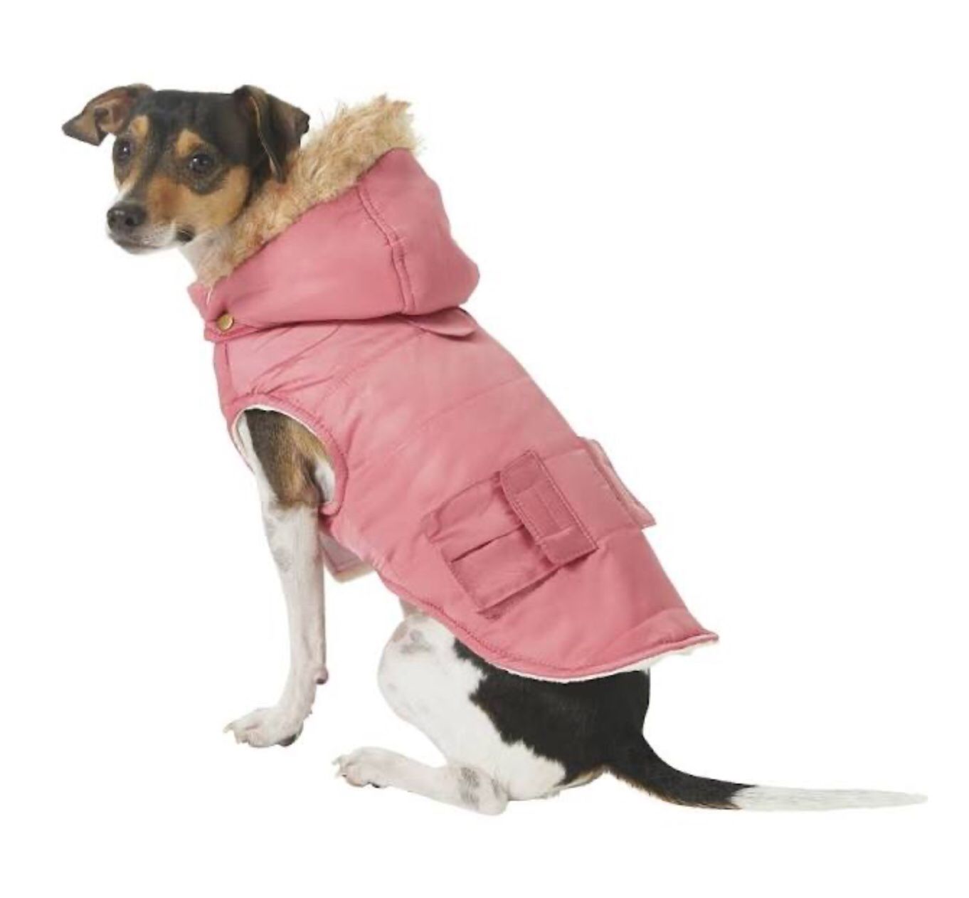 Frisco Portland Insulated Dog & Cat Hooded Parka Jacket - XX Large