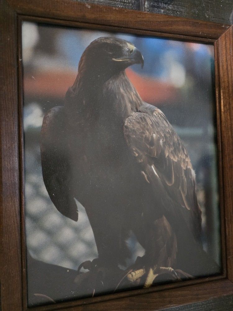 Antique Auburn Photos