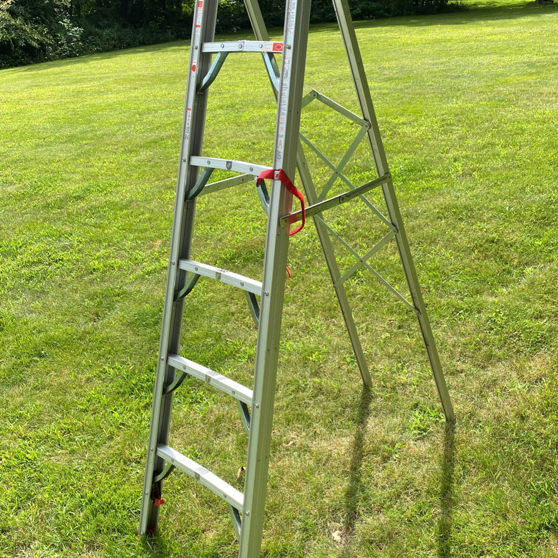 Z-tech Folding Ladder